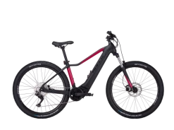 BULLS AMINGA EVA 1 2022